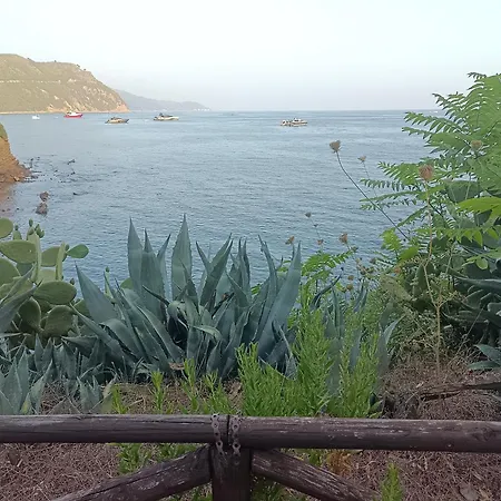 Il Cefalo *