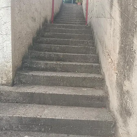 Il Cefalo